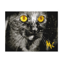 Monkey Cat Postcard by Monkey_cat Monkey Cat Postcard