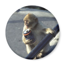 Monkey Drink Problem Magnet