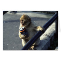 Monkey Drinking Greeting Card