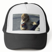 Monkey Drinking Trucker Hat