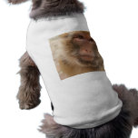 Monkey Face Dog Shirt