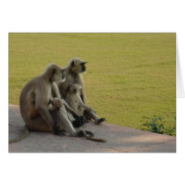 monkey family cards by robert_w_alexander monkey family cards