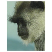 monkey flyers