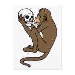 Monkey Holding A Skull Postcard