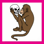 Monkey Holding A Skull Poster