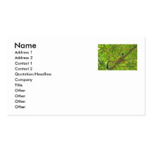 Monkey in Bamboo Jungle Business Cards