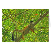 Monkey in Bamboo Jungle Greeting Cards