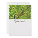 Monkey in Bamboo Jungle Custom Invitation