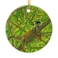 Monkey in Bamboo Jungle Ornaments