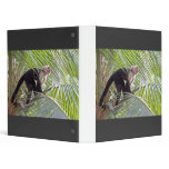 Monkey in Bamboo Jungle Photo Binders