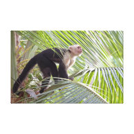 Monkey in Bamboo Jungle Photo Gallery Wrapped Canvas