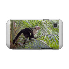 Costa Rica Samsung Galaxy S Cases