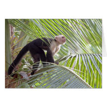 Monkey in Bamboo Jungle Photo Greeting Card