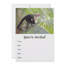 Monkey in Bamboo Jungle Photo Invitation