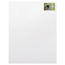 Monkey in Bamboo Jungle Photo Letterhead