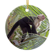 Monkey in Bamboo Jungle Photo Ornaments