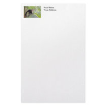 Monkey in Bamboo Jungle Photo Custom Stationery