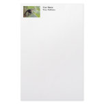 Monkey in Bamboo Jungle Photo stationery
