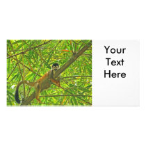 Monkey in Bamboo Jungle Custom Photo Card