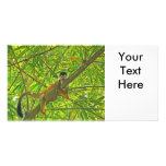 Monkey in Bamboo Jungle Custom Photo Card