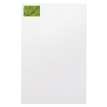 Monkey in Bamboo Jungle Custom Stationery