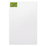 Monkey in Bamboo Jungle stationery