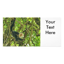 Monkey in Forest Photo Custom Photo Card