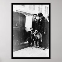 Monkey in Limo NYC 1912 Posters