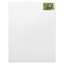 Monkey in the Jungle Customized Letterhead