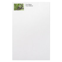 Monkey in the Jungle Stationery Design