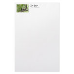 Monkey in the Jungle stationery