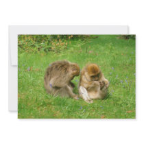 Monkey Invitation