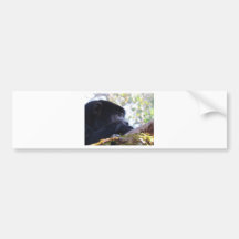 Monkey.jpg Bumper Sticker