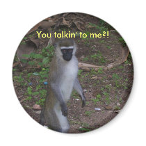 Monkey Magnet