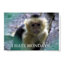 Monkey Monday posters