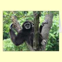 monkey on tree 1 cards