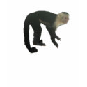 Monkey on your back t-shirts