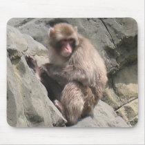 Monkey photography mousepad by vitaliy Monkey photography mousepad