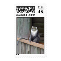 Monkey postage