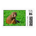 Monkey Postage postage