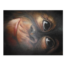 Monkey Postcard