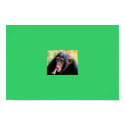 monkey posters by kevinstarnes monkey posters
