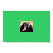 monkey posters