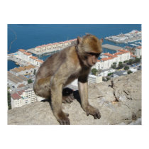 monkey posters