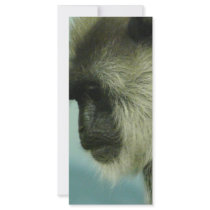 monkey custom rack card