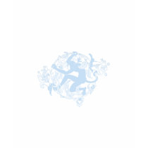 Monkey Rampage Flourish t-shirts
