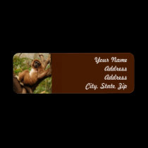 Monkey  Return Address Sticker labels