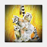 Monkey See, Monkey Do Fridge Magnets