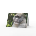 Monkey See, Monkey Do Greeting Card