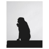 Monkey  Silhouette Flyers